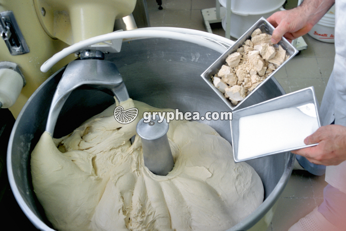 Fabrication du pain - Ingrédients du pain - gryphea.com